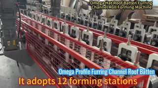 Dachlatte mit Omega-Profil-Tragprofilen